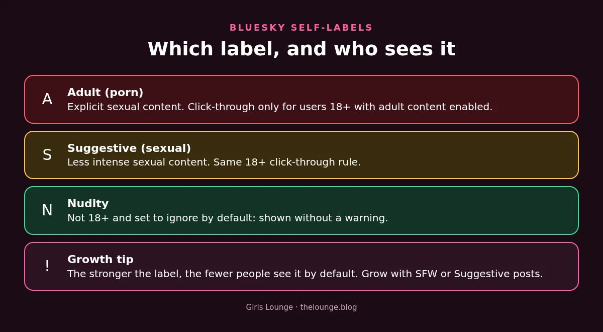 Diagram: the three Bluesky self-labels, Adult, Suggestive and Nudity, and who can see each