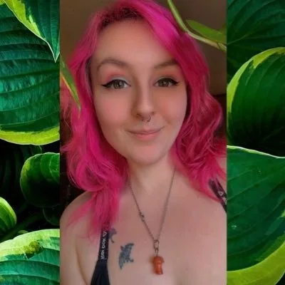 Acid Fairy, official X profile photo